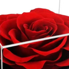 Colar de Senhoras e Sabonete Caixa de Presentes com Flores para Dia das Mães e Esposa